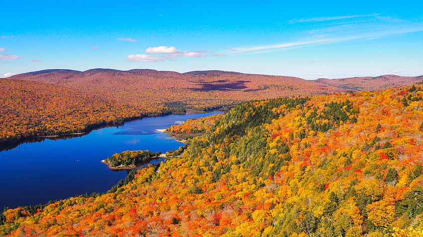 Canada Original Salvaje